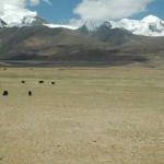 チベット・清蔵鉄道で天空を走る
