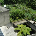 屋上緑化・菜園